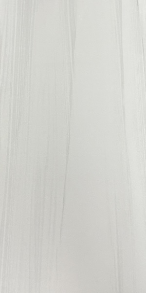 Dolomite Polished Porcelain Tile 12x24
